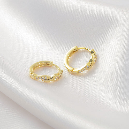 Temperament Interwoven Earrings